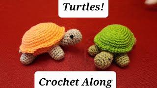 Crochet Turtle. Crochet Along Tutorial.