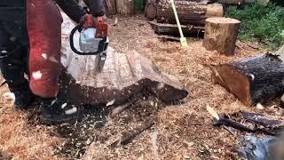 Chainsaw Carving - Eder Power Gouge In Action