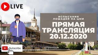 20.12.2020. Прямая трансляция с ЦМИ. Приз любителей спортивных пари имени М.В. Перова.