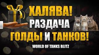  РАЗДАЧА ЗОЛОТА И ТАНКОВ В WORLD OF TANKS BLITZ | АВГУСТ 2024 | РОЗЫГРЫШ