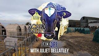 Viva! Face Off - A Dairy Exposé: Death, Cages and Downers