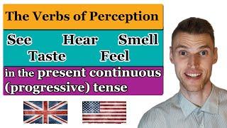 Verbs of Perception (See, Hear, Smell, Taste, Feel) in the Present Continuous Tense