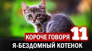 КОРОЧЕ ГОВОРЯ Я БЕЗДОМНЫЙ КОТЕНОК 11 [От первого лица] ИСТОРИЯ ОДНОЙ ЖИЗНИ. Я БЕЗДОМНЫЙ ЩЕНОК.