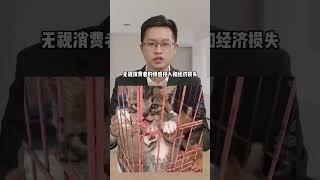 抵制无良商贩！提倡领养代替购买！呼吁成立动物保护法！动物保护法  星期狗  星期猫  领养代替购买 尊重生命