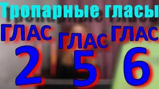 Тропарный Глас 2, Глас 5 и Глас 6. Информация. Обиход.