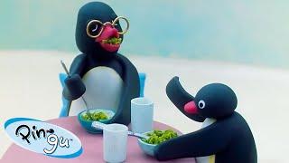 Pingu Enjoys Family Time!  | Pingu - Official Channel | Cartoons For Kids