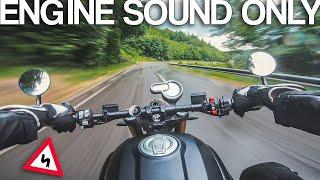 EXHAUST ORCHESTRA! Ducati Scrambler 1100 sound [RAW Onboard]