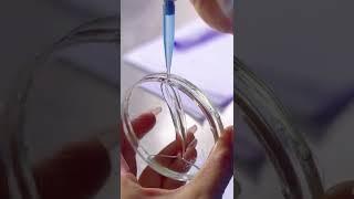 Making Process of Spectacle Lenses (CR39) #eyewear #glassesmuseum #glasses #spectacle #lenses