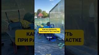 Тг канал Реальный садовод #питомникрастений