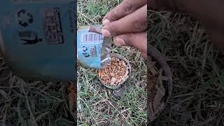 SURVIVAL SKILL: men must know what to do when in the forest #bushcraft #survival #camping #outdoors
