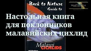 Настольная книга для поклонников малавийских цихлид. Эд Конингс "Гид по малавийским цихлидам"