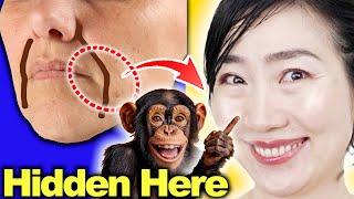 Erase Nasolabial Folds with the Muscle Only Chimps Use (Feel Dumb. Works Amazing!)