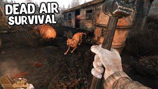 Новый взгляд - S.T.A.L.K.E.R. Dead Air Survival