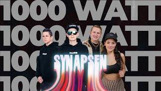 SYNAPSEN 1000 WATT - PAZOO x ANSTANDSLOS & DURCHGEKNALLT