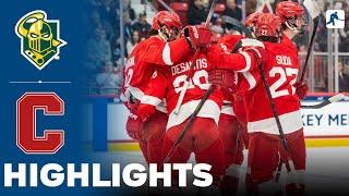 Cornell vs Clarkson | NCAA College ECAC Hockey Final | Highlights - March 22, 2025