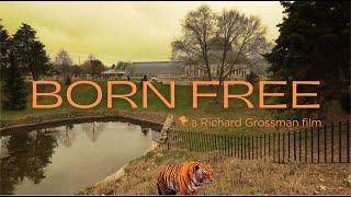 Born Free  | A short film for animal lovers