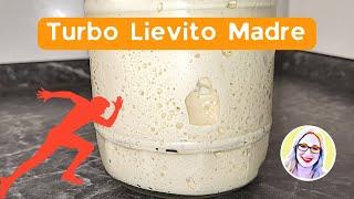 Lievito Madre in nur 1,5 Tagen - Turbo-Methode + Bonus: Mutterhefe haltbar machen! 