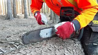 Sharpening the saw chain with a file, Sharpening the chain saw! Garden and Forest