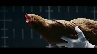 Mercedes Benz “Chicken” MAGIC BODY CONTROL TV commercial