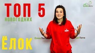 Искусственные елки: ТОП-5 новогодних елок GreenTerra