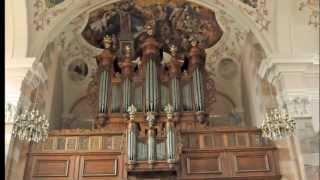 EBERSMUNSTER/SILBERMANNORGEL (Rolf Schwarz)