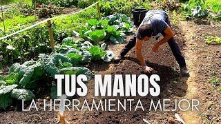 Tus manos: la herramienta mejor