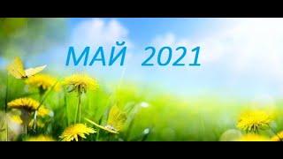 ЛЕВ. МАЙ 2021. Таро прогноз.