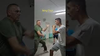 Wing Chun Naumov  learn self defense #wingchun #wingchunkungfu #martialarts