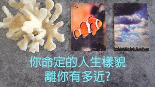 ◆塔羅◆你命定的理想人生離你有多近? 未來人生方向解析！
