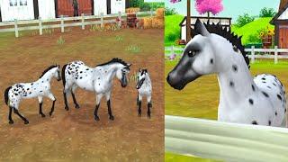 Appaloosa Mare Has Twin Foals Star Stable Online Horse App