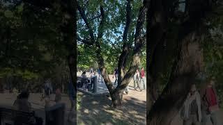Приятная прогулка по приморскому парку в Таганроге !