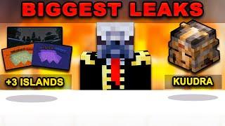 The Admins Leaked Something | Hypixel Skyblock News