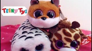 Beanie Boo | Teenie Ty's Review!