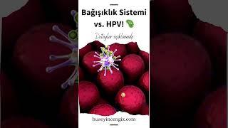  Bağışıklık Sistemi ve HPV: Vücudumuzun Sessiz Savaşçısı! 