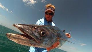 Boca Grande Fishing Videos for Grouper Kingfish and Permit