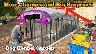 PERFECT Vegetable Container Garden to Stop PEST & Protect Growing Food, EASY to CHANGE * Dog Kennel