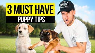 Puppy TRAINING - The FIRST 3 Things To Teach Any Puppy!