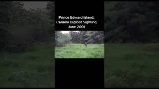 Rare Footage of Bigfoot in Prince Edward Island Canada