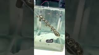 Покрасить без краски ️