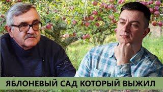 Столетний сад-гигант борется не только за урожай. Совхоз, в котором главное - люди.