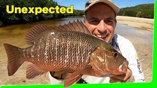 Solo overnight boat camping - Surprise amazing fish! - EP.562