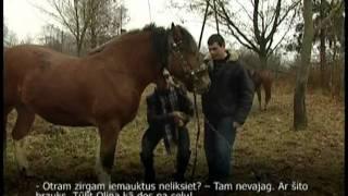 Slokas čigāni - zirgkopji/Roma people with horses in Latvia.mp4