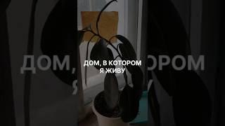 Дом, в котором я живу