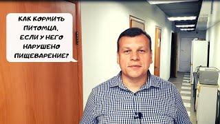 КАК КОРМИТЬ ПИТОМЦА, ЕСЛИ У НЕГО НАРУШЕНО ПИЩЕВАРЕНИЕ?