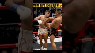 Muay Thai: Knee Blow  #muaythai #kickboxing #mma #fighter #usa