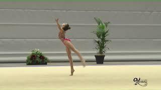 Performances gymnasts