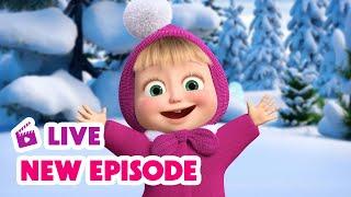  LIVE STREAM  Masha and the Bear  New Episode 