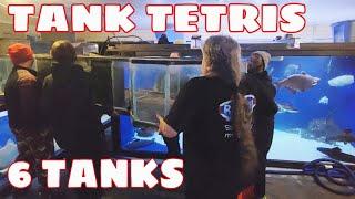 BIGGEST Aquarium Move Ohio Fish Rescue Ever Made! + New Behemoths Arrive