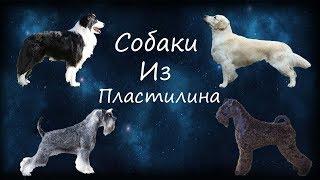 Собаки из пластилина#4.