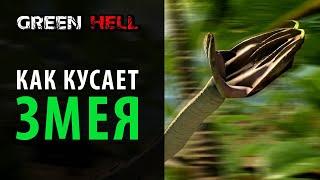 Укус змеи в замедленной съемке. Green Hell